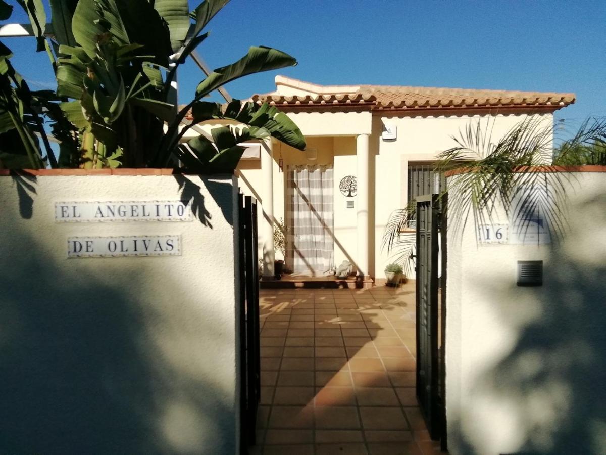 Guest House El Angelito De Olivas Pedreguer Exterior foto